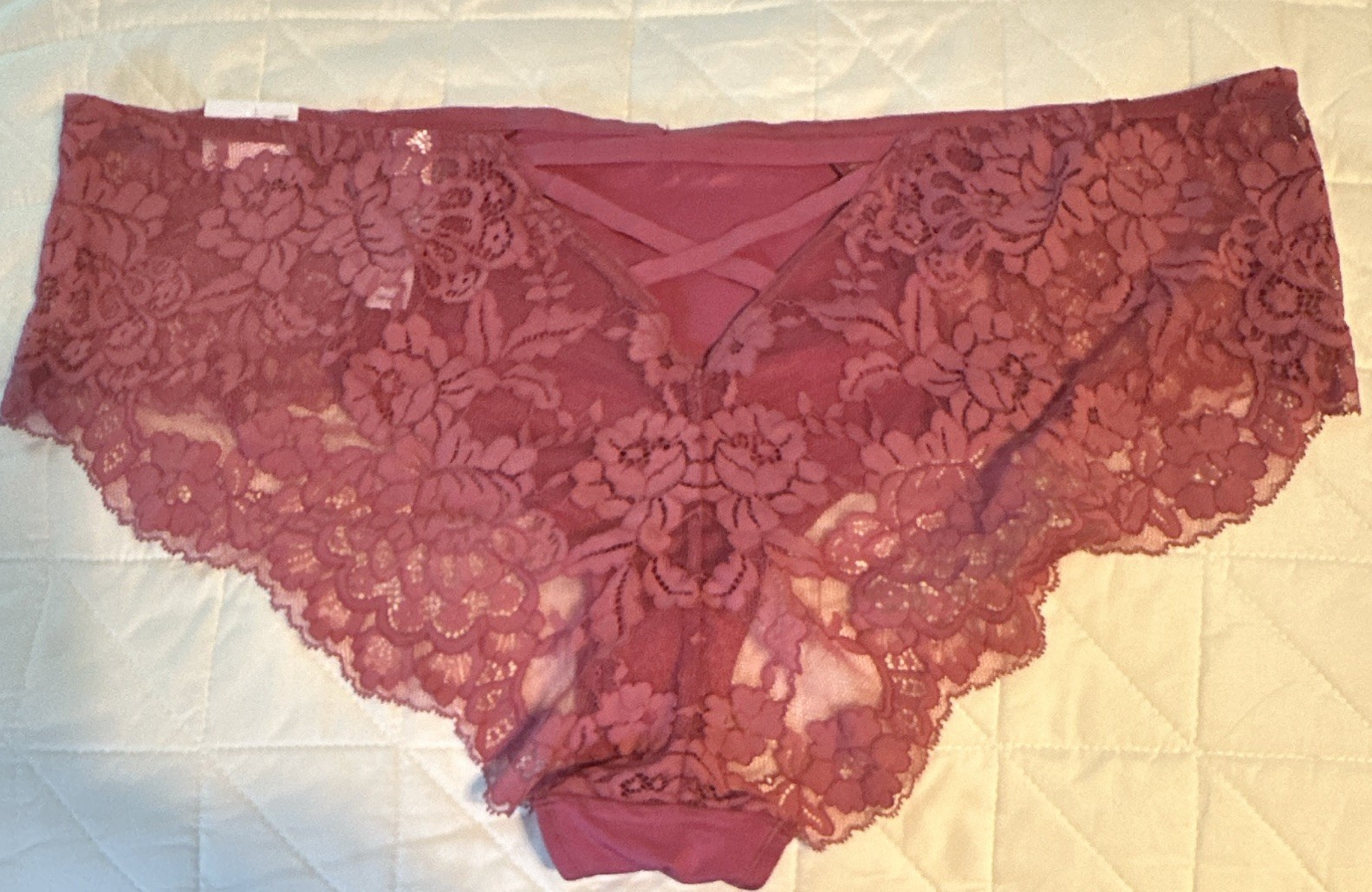 Cacique Women’s Plus 22/24 Boyshort Panties Lace Floral Purple Sheer