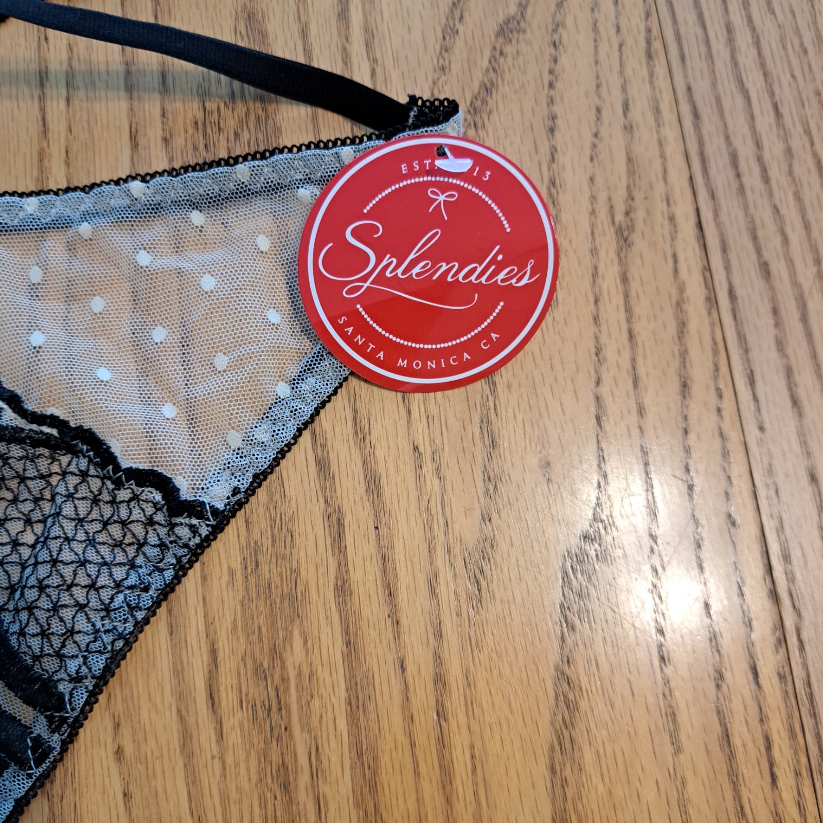Splendies Thong Panties Strappy 3X Sheer Embroidered
