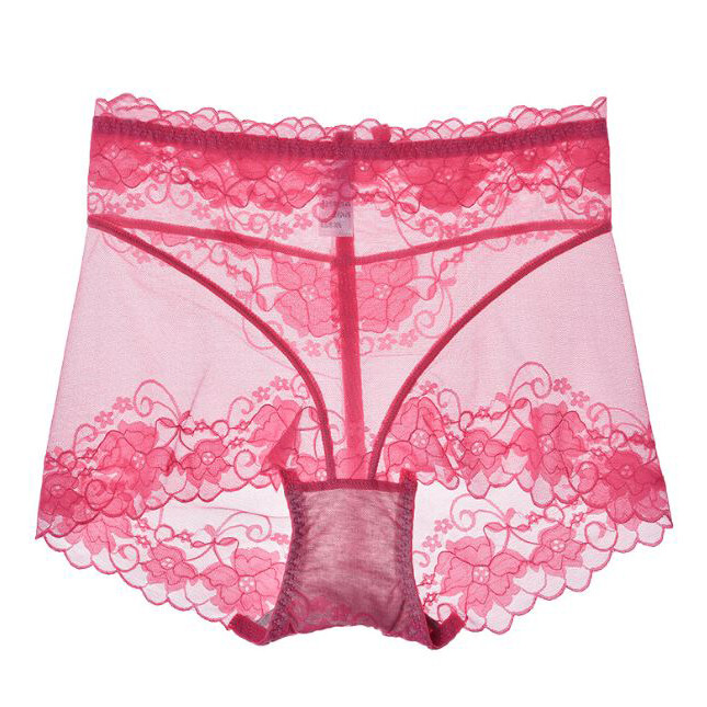 5 Pack Lot Sexy Womens Sheer Lace Panties Briefs See Through Underwear Lingeries