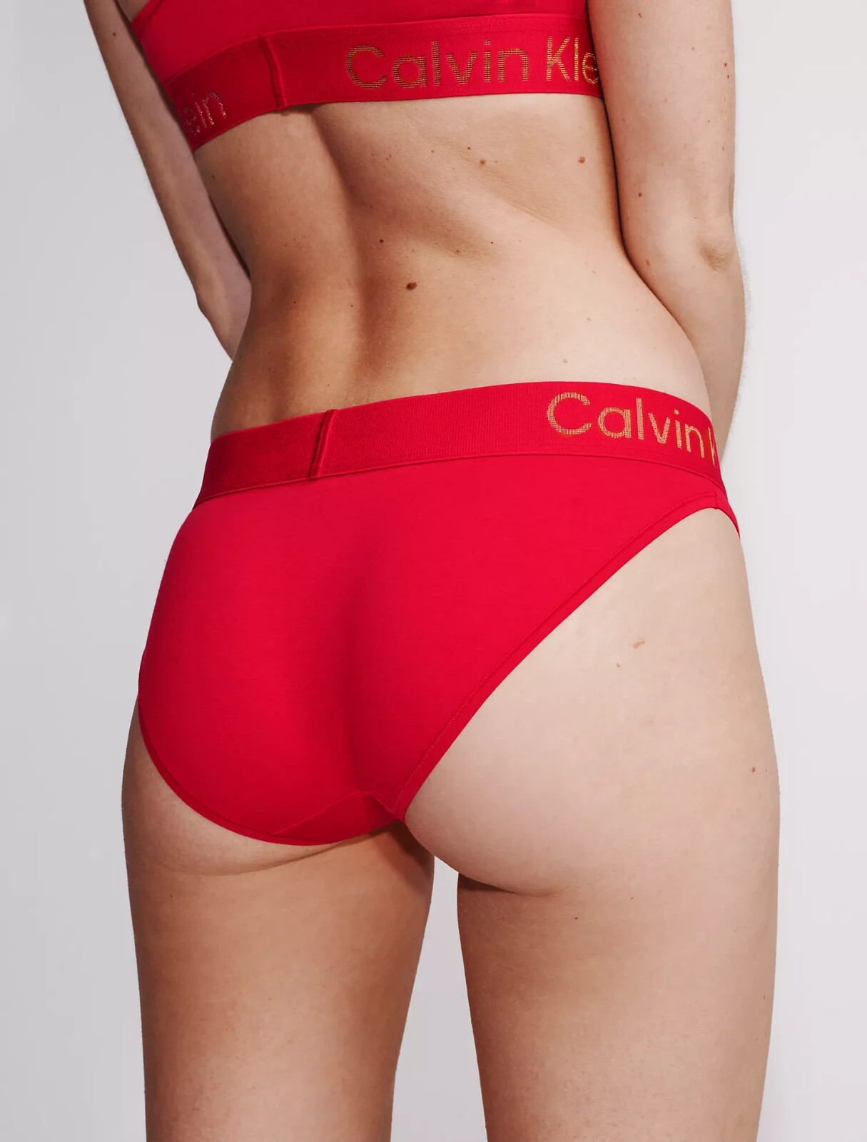 NWT Calvin Klein Women’s(LARGE) ICON Cotton Modal Bikini 40441WF