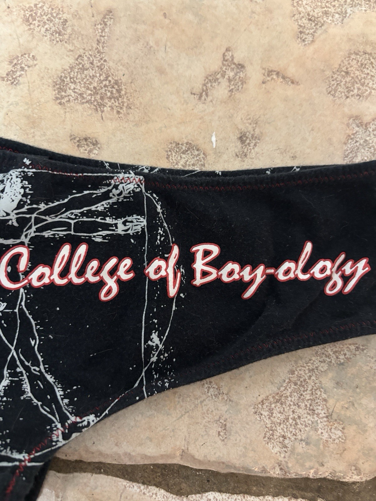 Vintage Y2K Hustler University College Of Boyology Booty Shorts Panty Medium