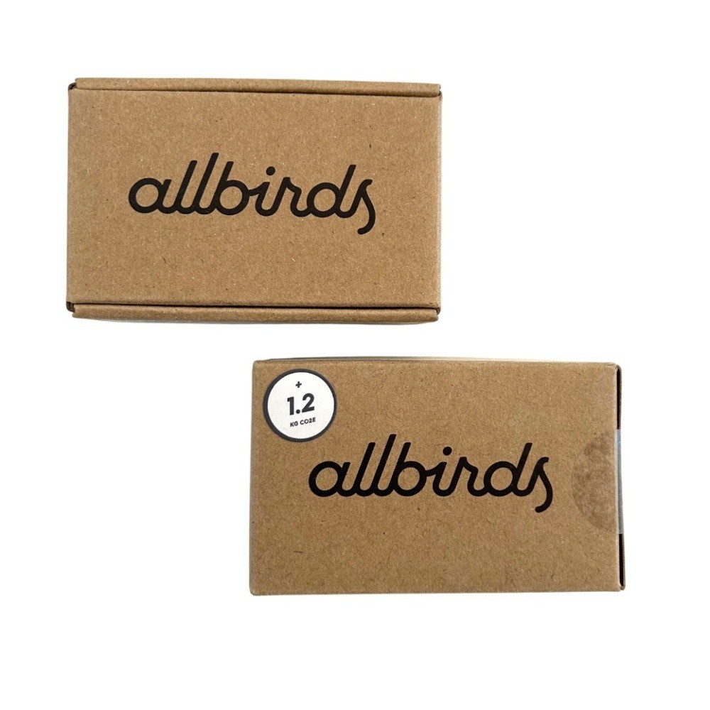 Allbirds Women’s Thong Underwear set of two 2X raincloud wheat lyocell Wool NEW