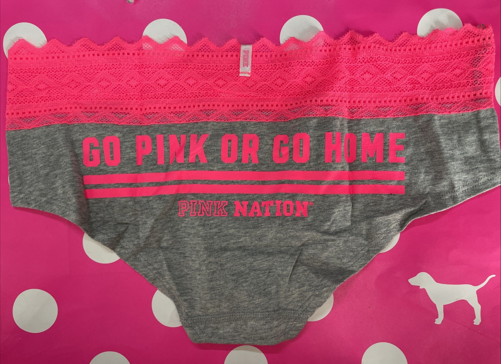 2015 Victoria Secret PINK Lace Waist Hipster Pantiy M VTG Nation Go Pink Go Home