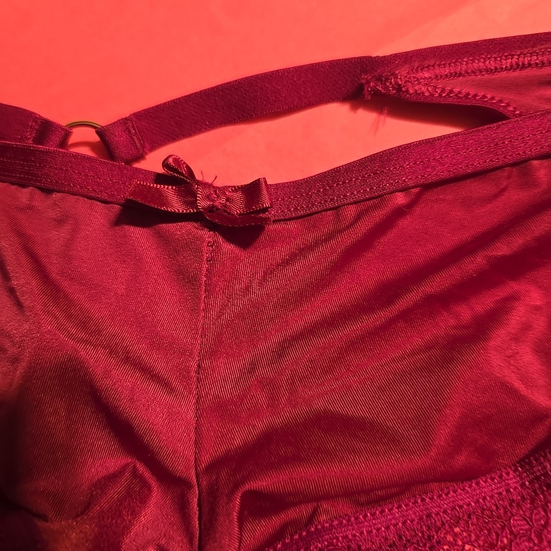 Victoria’s Secret Very Sexy Cheeky Panties Med. Burgandy/Plum W/ Tassel On Back