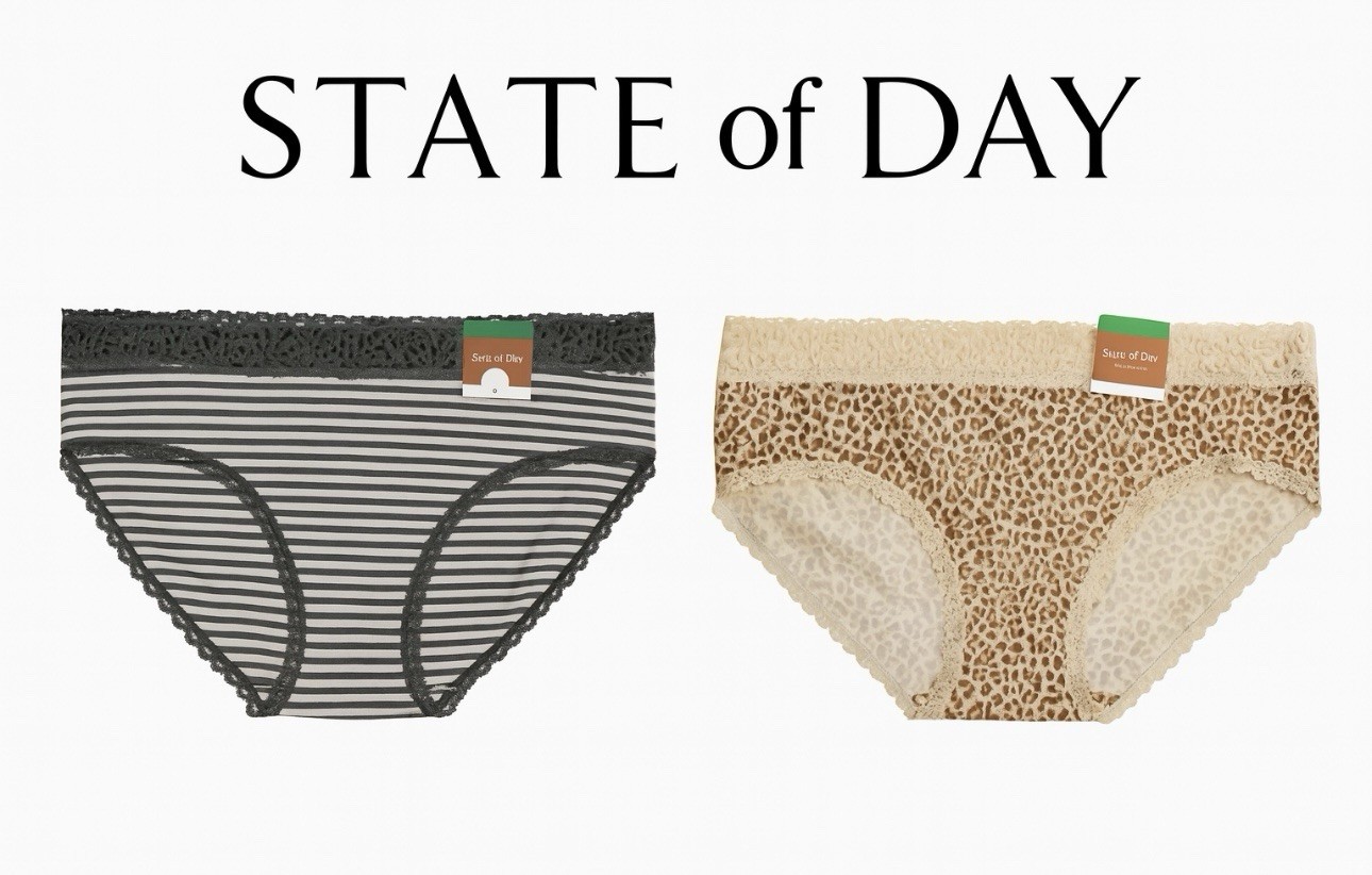 State of Day Panties Bundle 2 Pack Large Lace Waist Heather Stripe & Leopard L