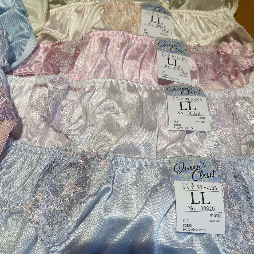 Japanese Glossy Nylon Panties Floral Lace Brief Set of 12 US size L, JP LL Lot