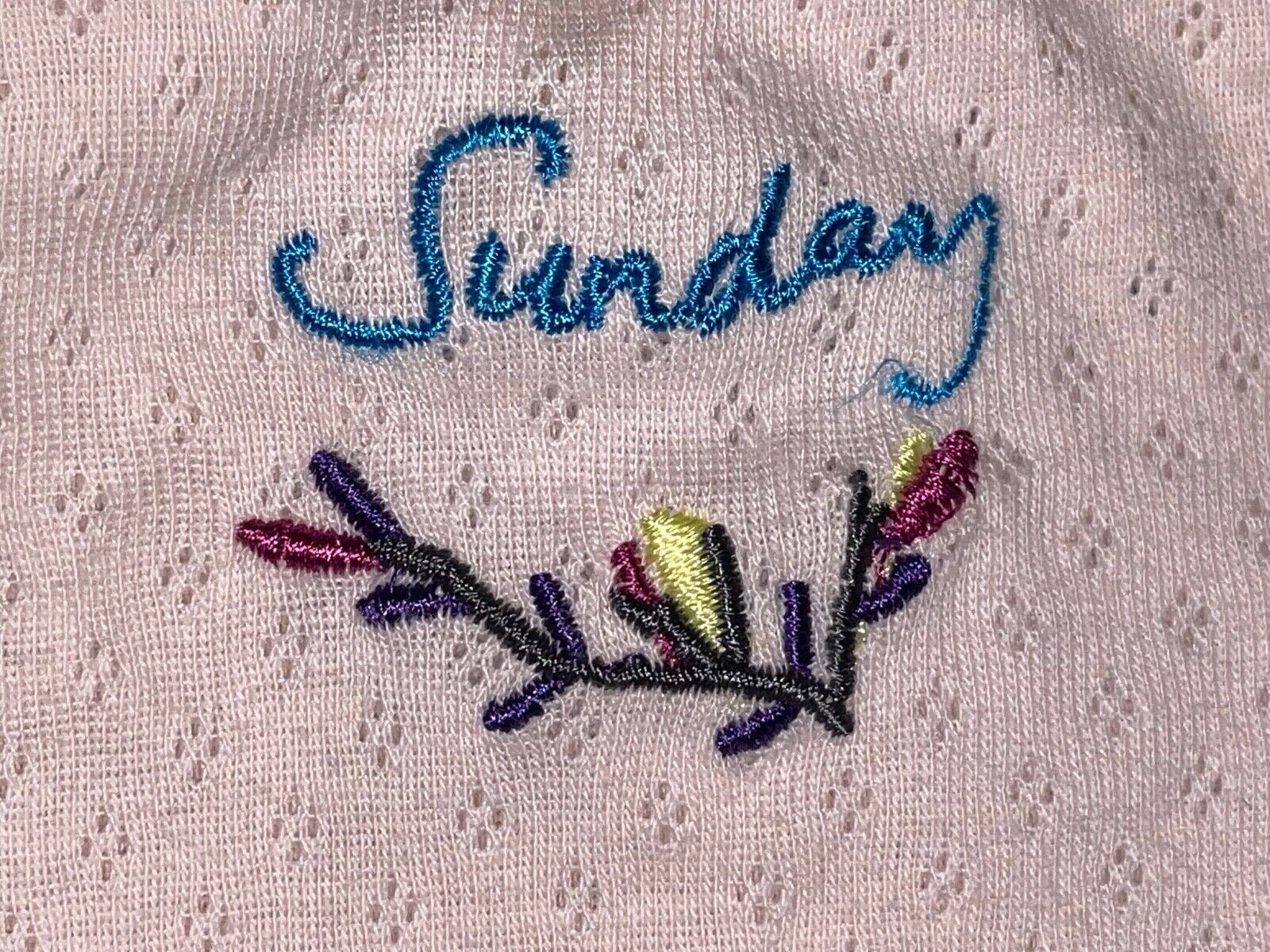Bundle of Baby Soft Weekend Cotton Panties, Embroidered days of the Week Panties