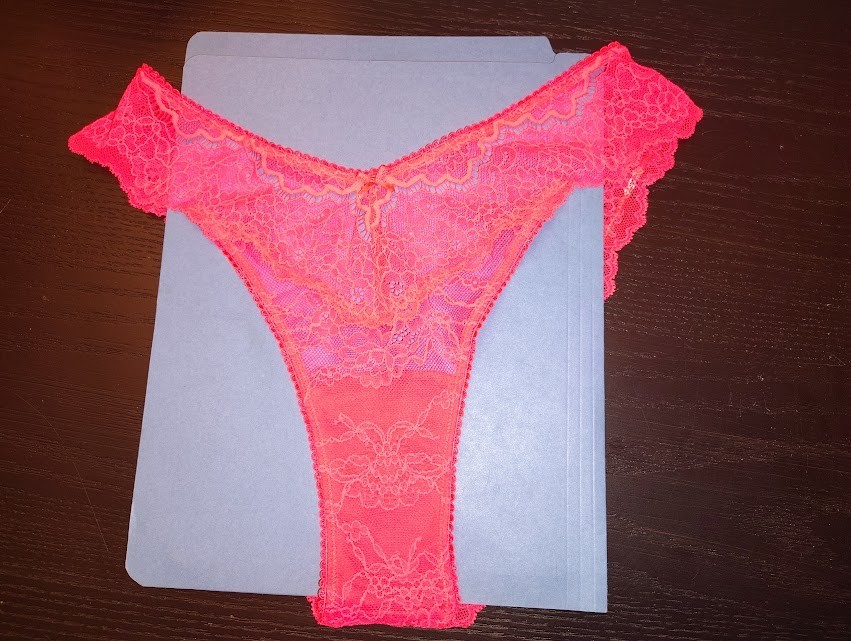 MEDIUM – VICTORIA’S SECRET DREAM ANGELS BRAZILIAN SLIP LACE PANTY – NWT – PINK
