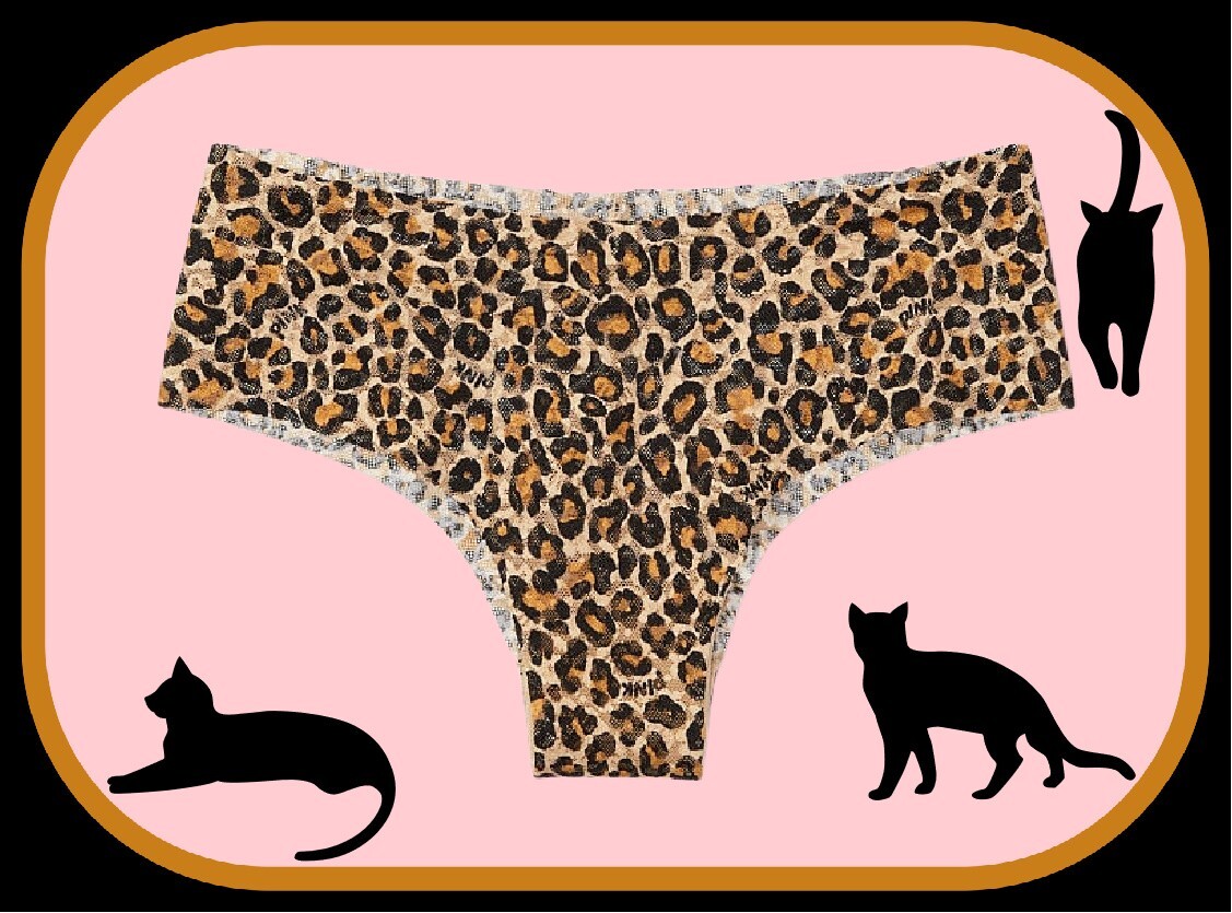 M Leopard Black Brown Tan NOSHOW All Lace Victorias Secret PINK Cheekster Panty