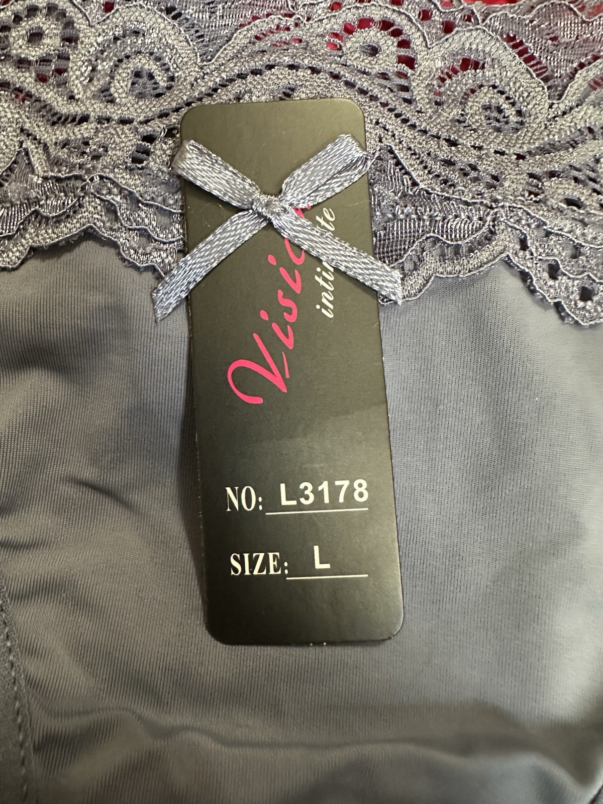 NWT SEXY! Size L Vision Bikini Panties (They run VERY small more like SMALL