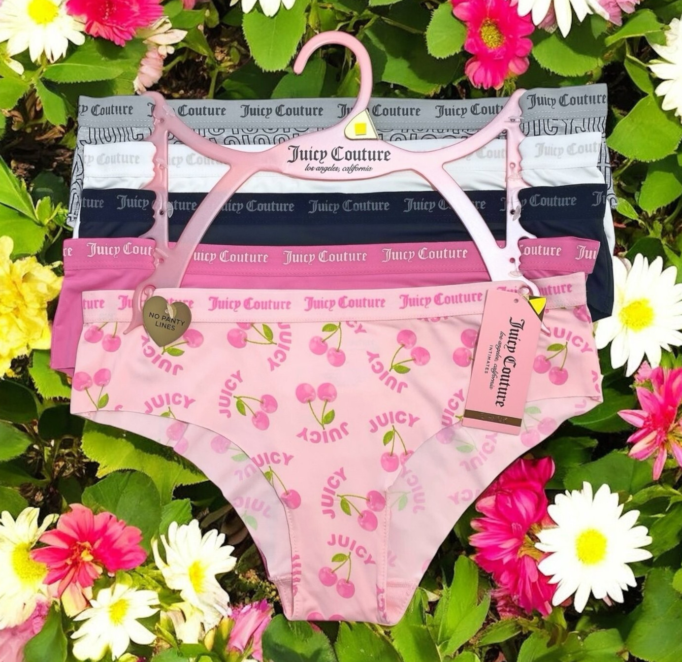 Juicy Couture Bikini Brief Pink, Black, White, Gray Logo 5 Panties Set Size XL