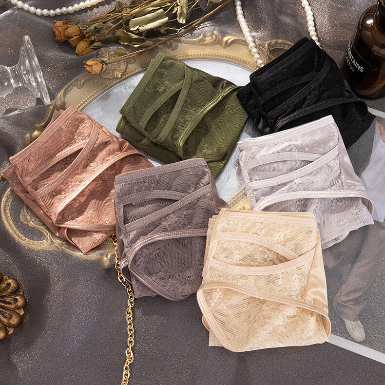 6pcs Lot Sexy Womens Satin Lingeries Panties Sheer See Through Underwear Briefs
