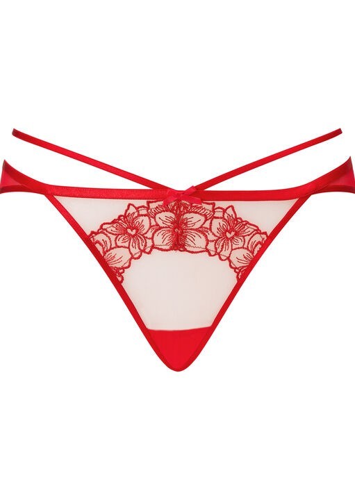 Ann Summers Size 14 HW Floral Affair Knickers New with Tags EU 40 Red Brief