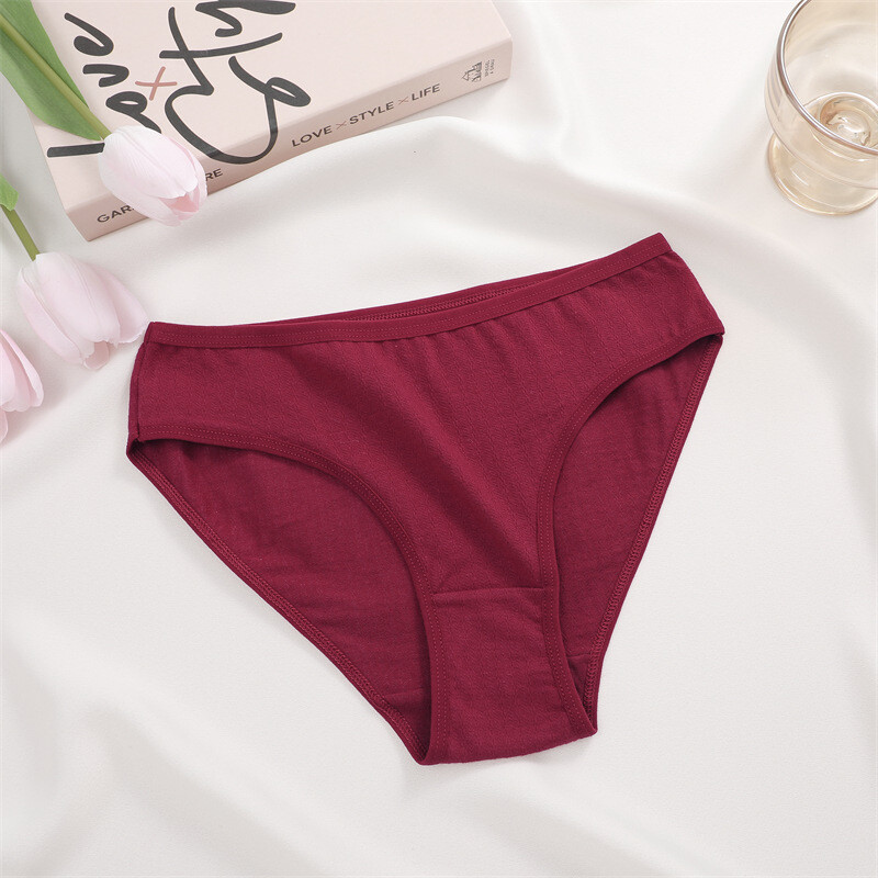 5 Pack Lot Womens Sexy Panties Brief Hipster Cotton Underwear Intimate Low Waist
