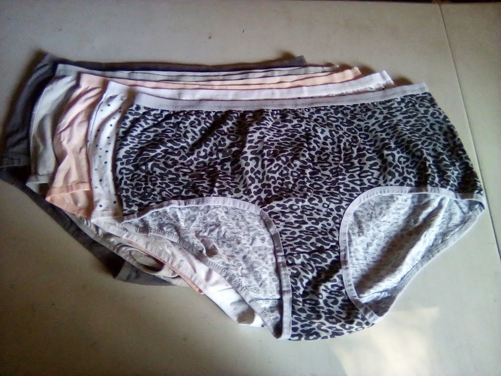 NWOT Assorted Comfort Choice 5 Pair Pack Brief Panties Size 10