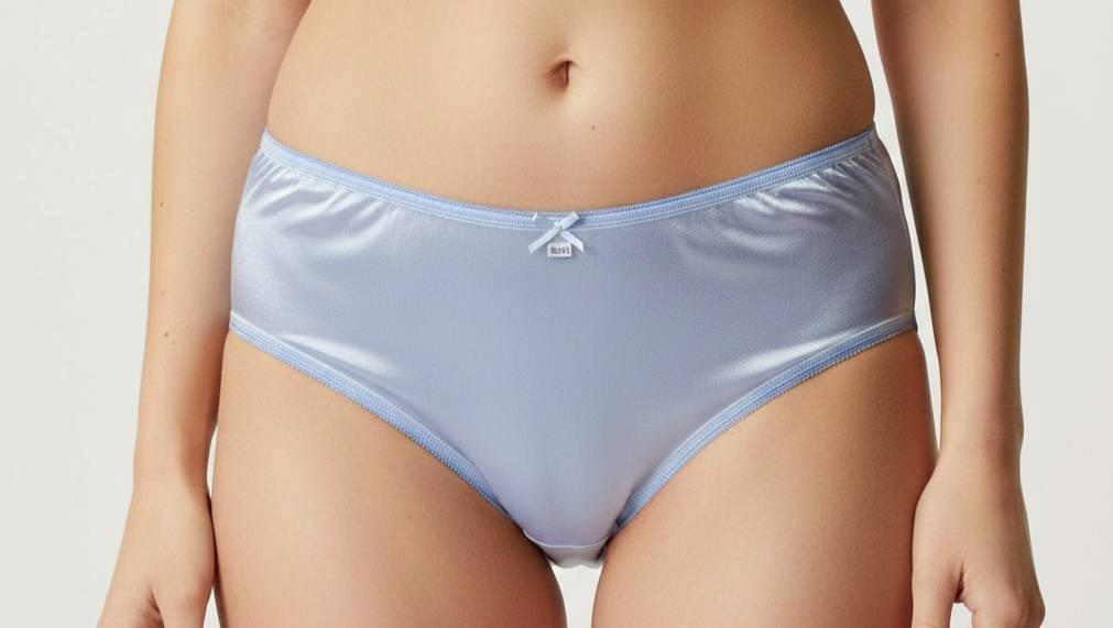 6pcs Plus Bikini Underwear Woman Nylon Panties Mid-Waist Soft Briefs /Purple/3XL
