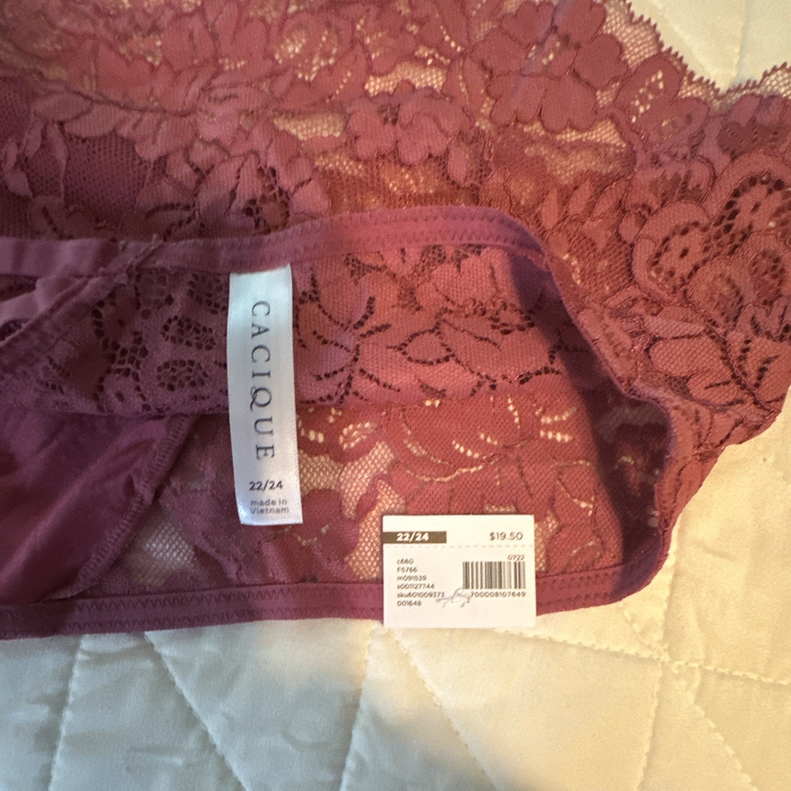 Cacique Women’s Plus 22/24 Boyshort Panties Lace Floral Purple Sheer