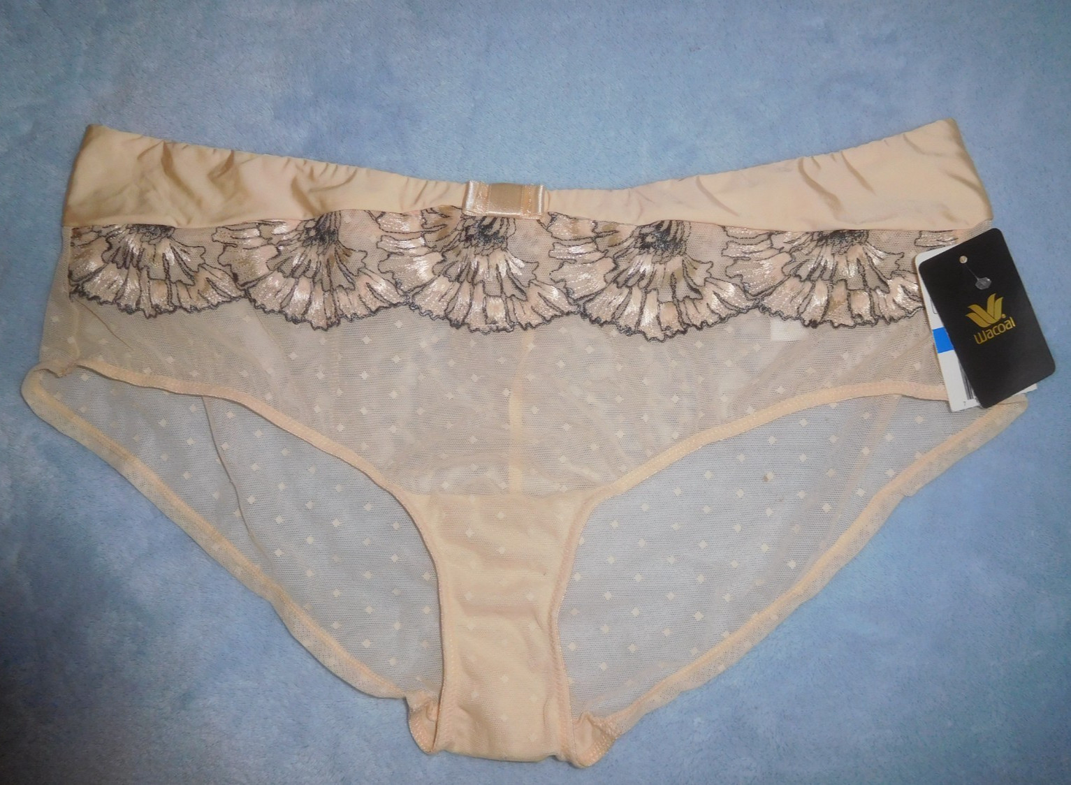 NWT! Wacoal Beige Mesh and Embroidered Lace Hipster Bikini Panty XL