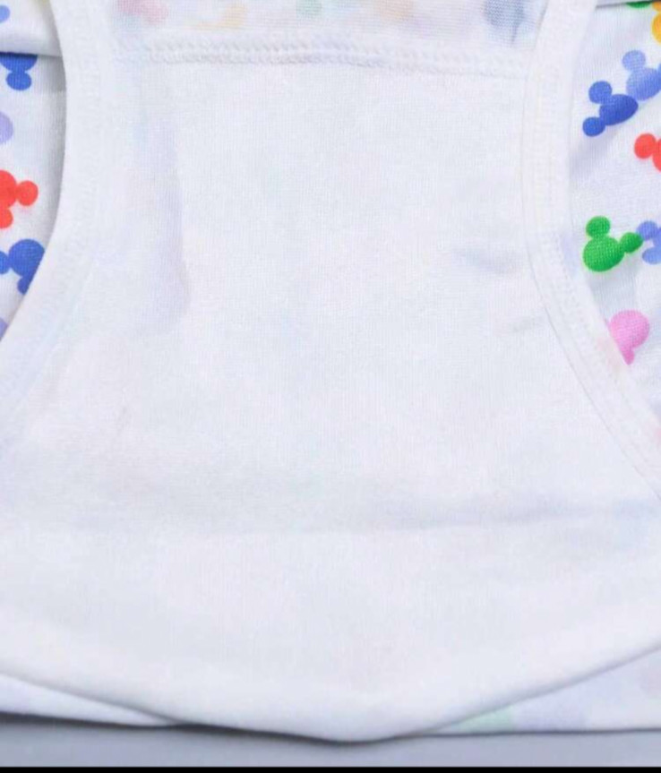 DISNEY Women’s Mickey Mouse Pattern Mid-Rise Brief Panties size Large 3 pack