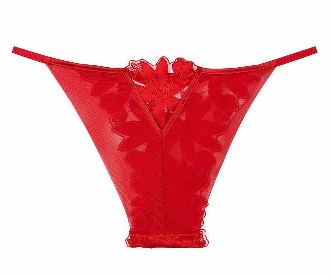 Victoria’s Secret LUXE LINGERIE Floral Embroidery Brazilian Panty XL Red