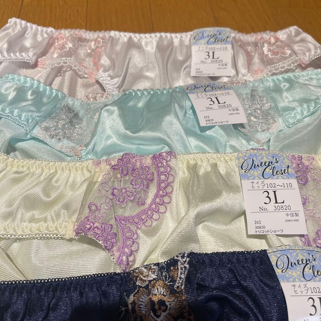 Japanese Glossy Nylon Panties Floral Lace Brief Set of 10 US size L-XL, JP 3L