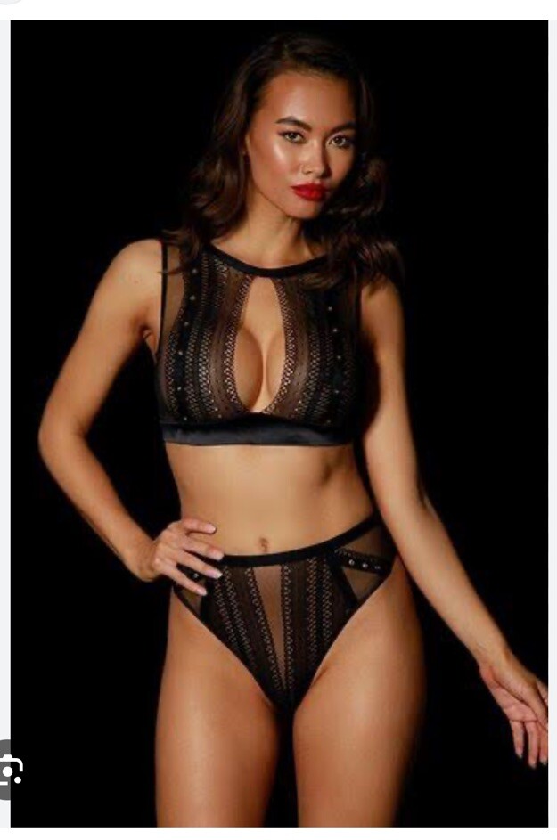 New Rare Honey Birdette Janet Black Brief size Small