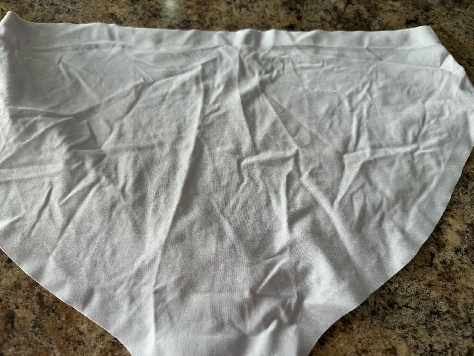 Vintage Victoria’s Secret Seamless Hiphugger/Bikini Panties Nylon/Spandex New XL