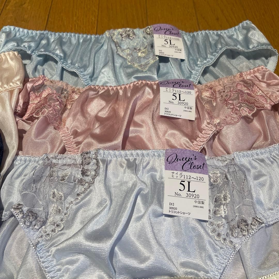 Japanese Glossy Nylon Panties Floral Lace Brief Set of 10 US size 2XL, JP 5L