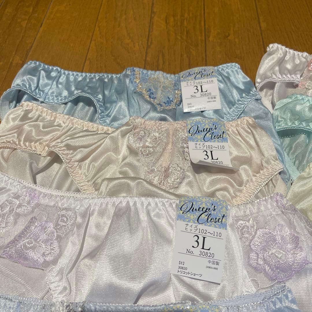 Japanese Glossy Nylon Panties Floral Lace Brief Set of 10 US size L-XL, JP 3L