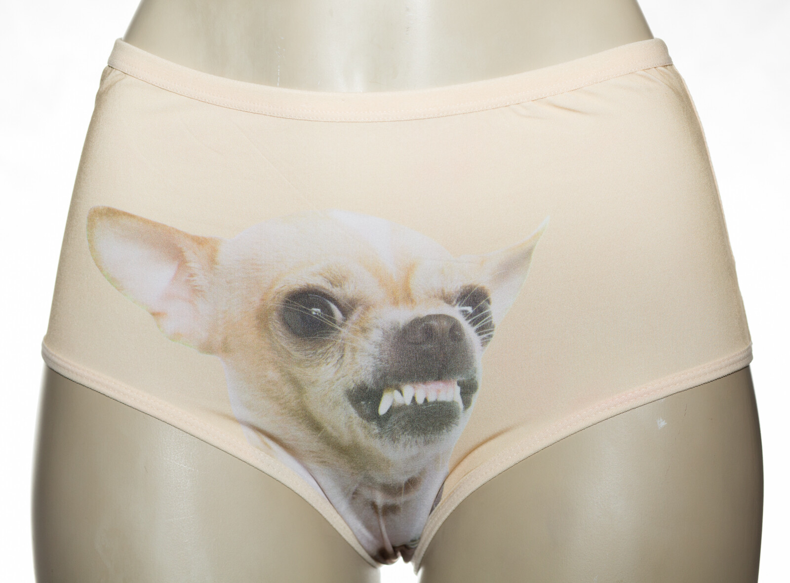 6 Women Chihuahua Dog Perritos Panties Briefs Underwear Print Size M L XL 129