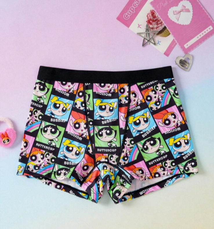 THE POWERPUFF GIRLS X SHEIN Women’s Cartoon Print Boyshort Shortie Panty Large