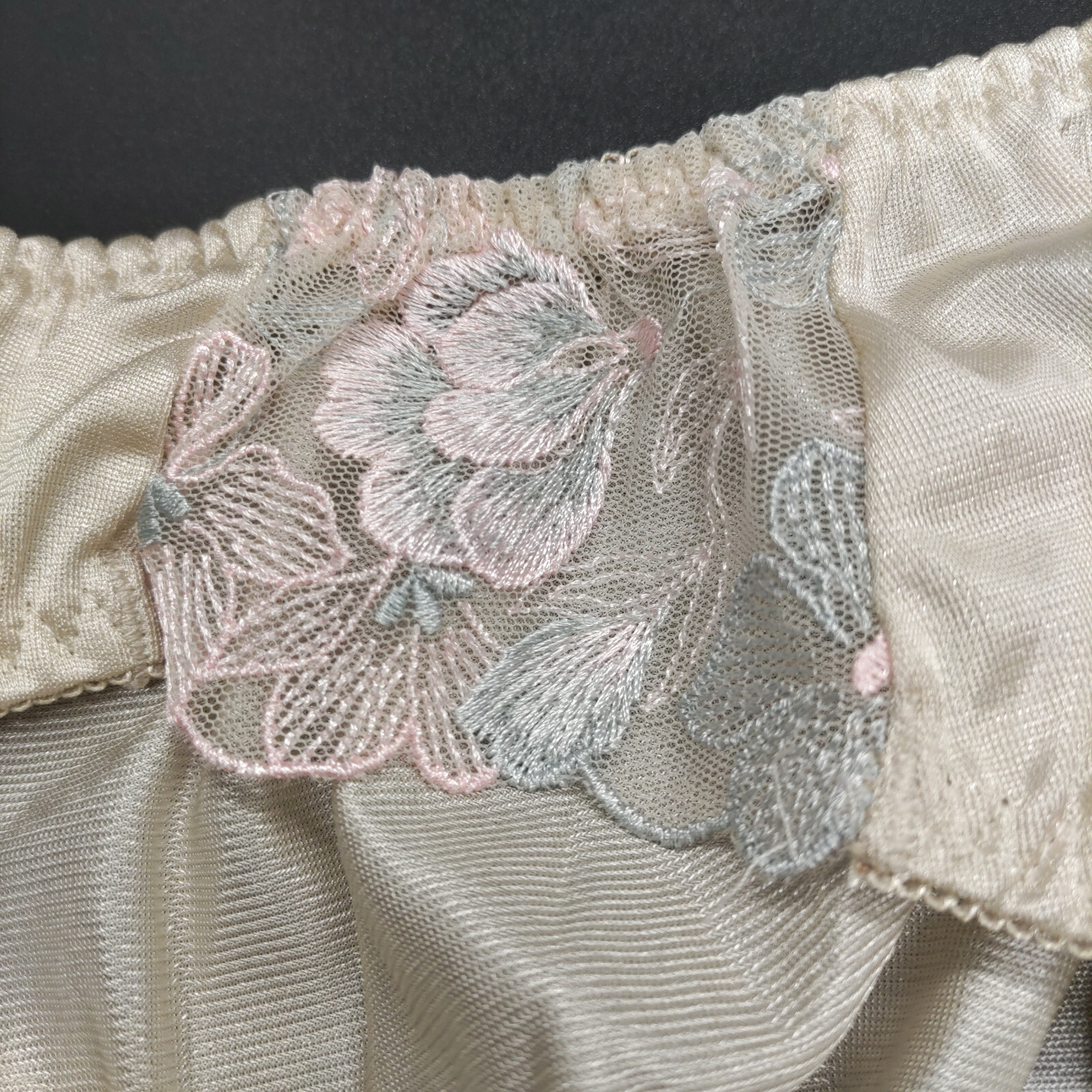 US SIZE XL SHINY NYLON TRICOT PANTIES from Japan