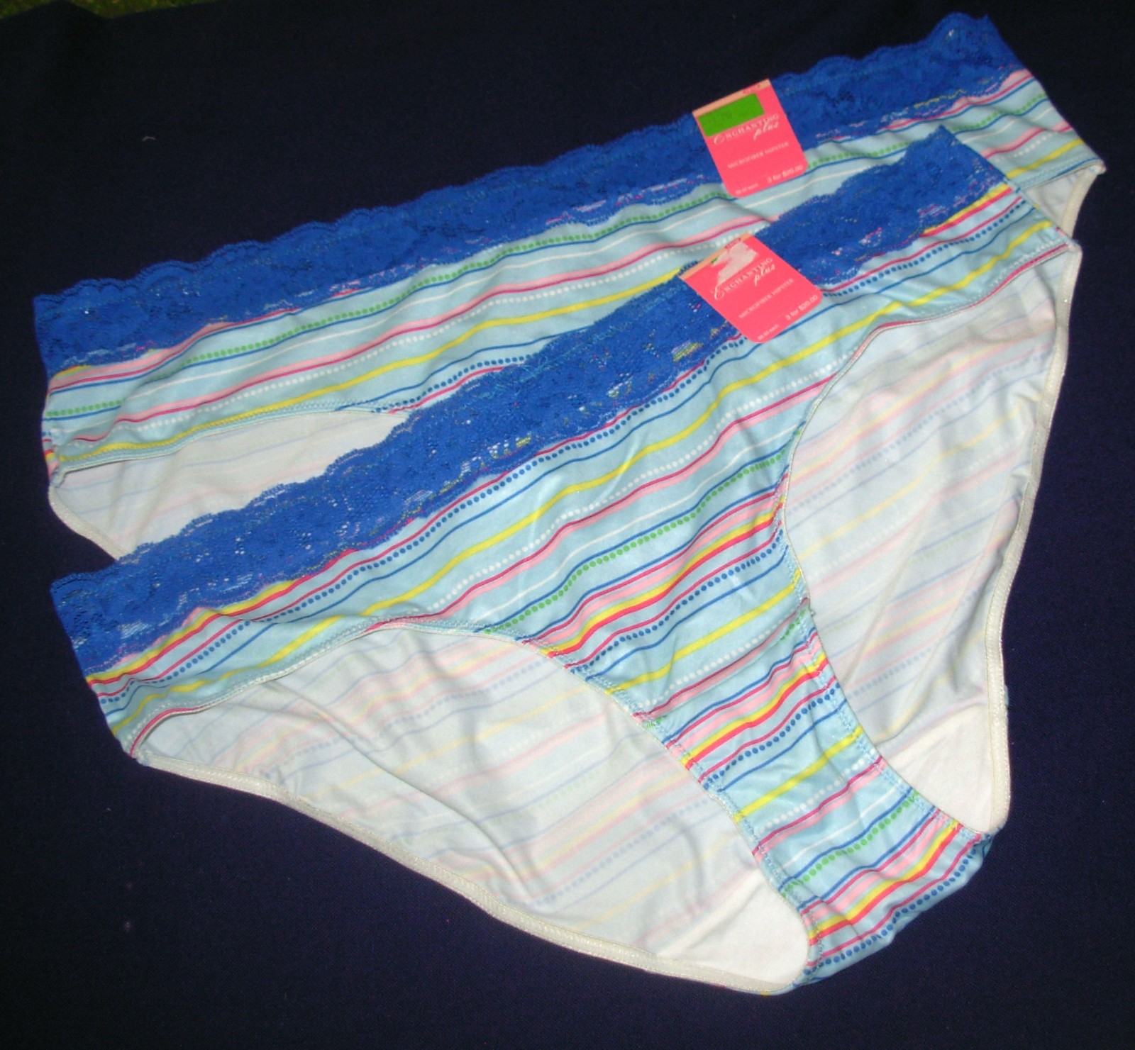 2 Womens sz 14 / 16 Enchanting Plus Hipster Panties Microfiber blue stripe 14 16