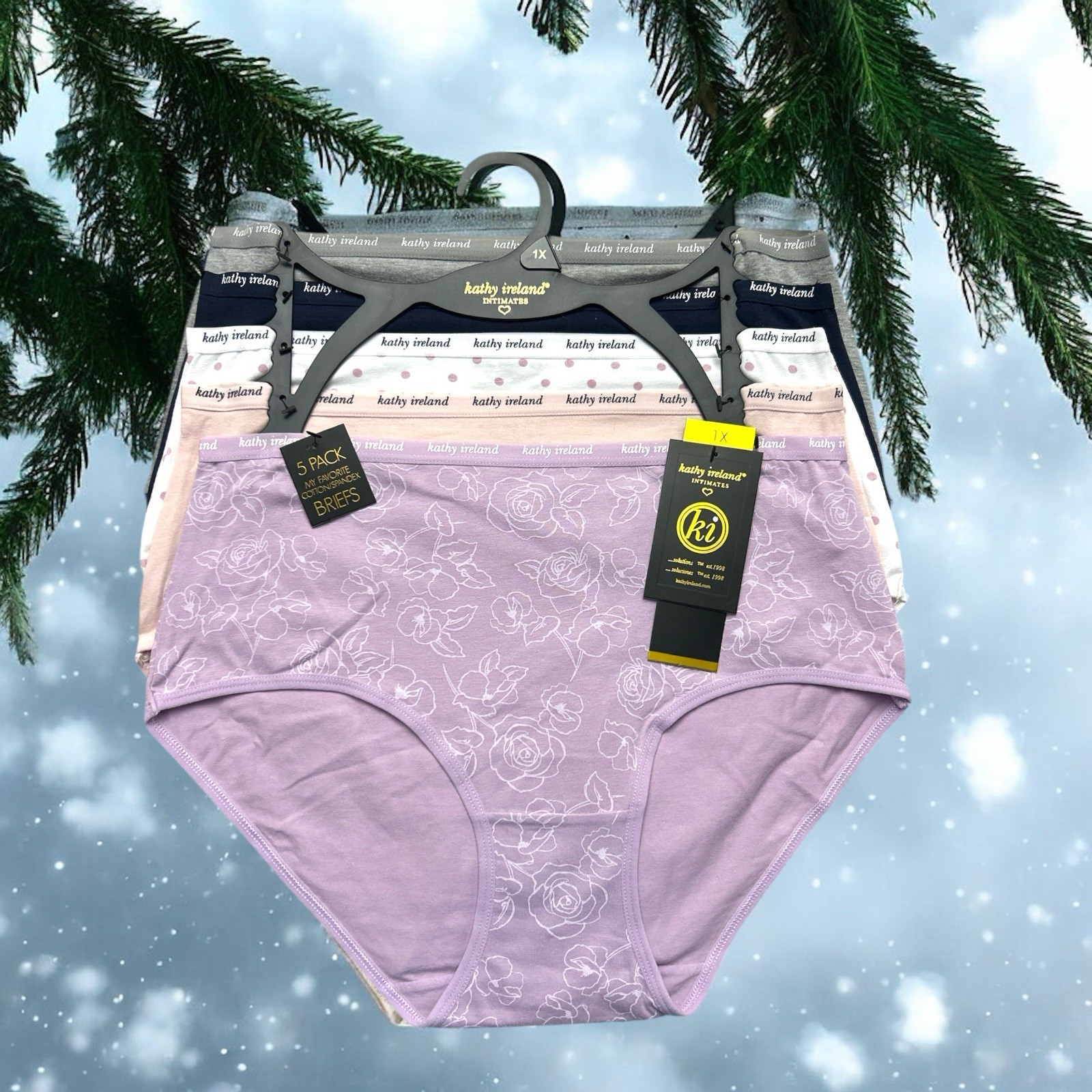 KATHY IRELAND~5 PCK. COTTON SPANDEX BRIEFS STYLE BF1202~MULTICOLOR PLUS SIZES!