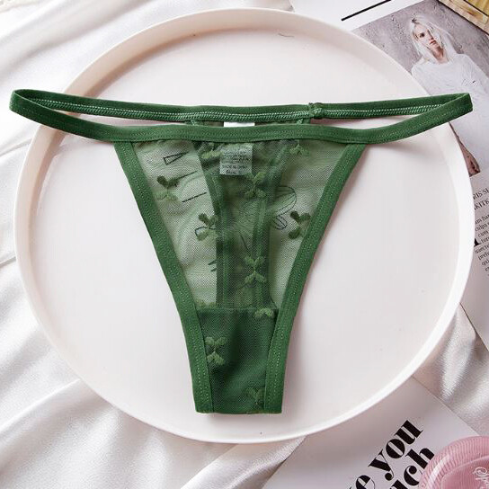 5 Pack Lot Womens Sheer See Through Panties Thong G string Briefs Sexy Lingeries