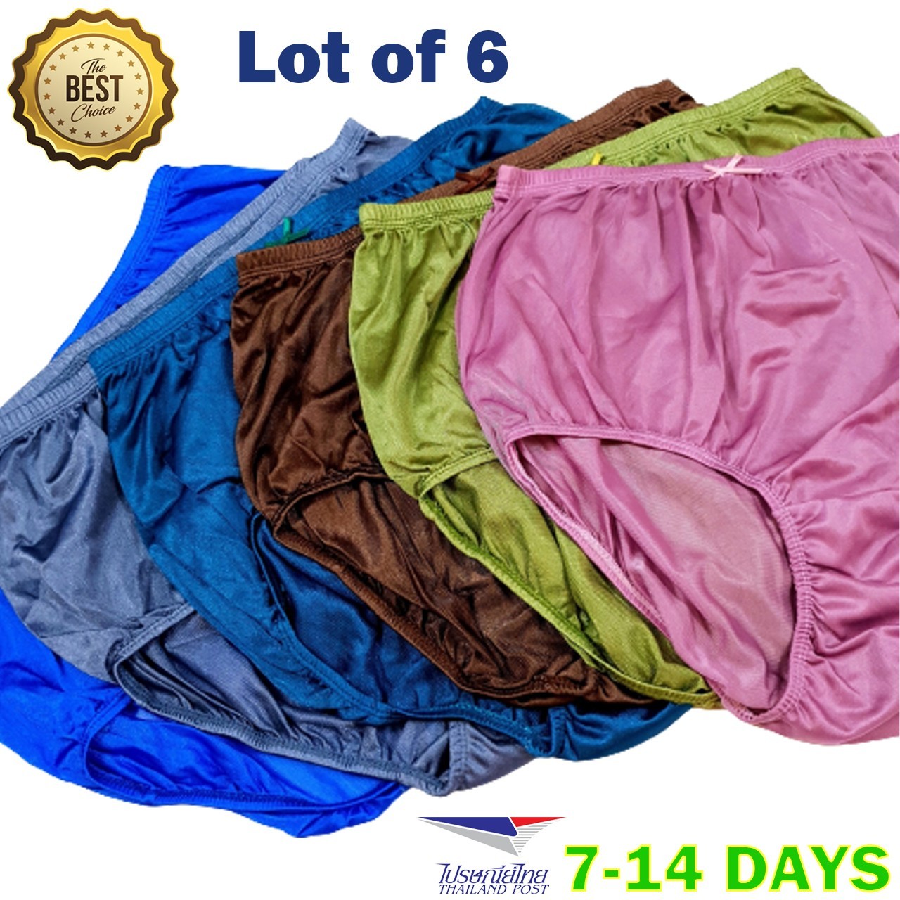 6 Pcs Plus Size 2XL Shiny Nylon Underwear Silky Soft Panties Briefs Full Coverag