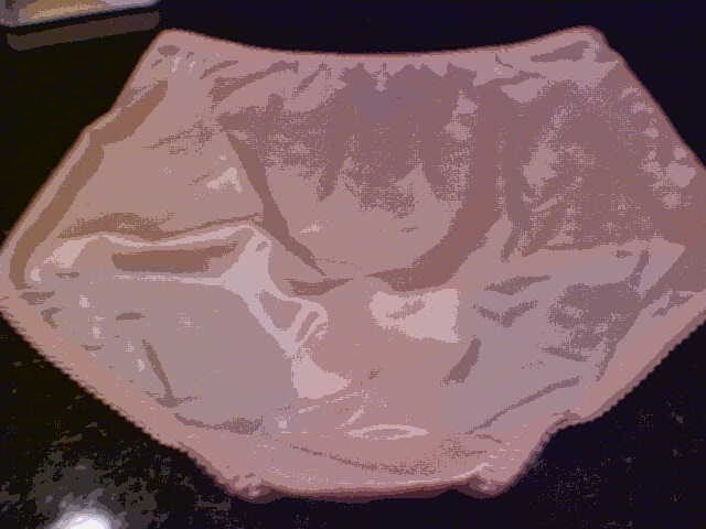 Vassarette Undershapers Light Control Brief Underwear – Ladies Size XL /8 ~ Pink