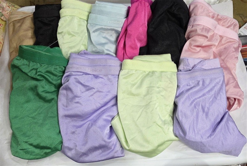 NEW 11pr Comfort Choice 14 Satin/Nylon Brief Panty Underwear 126585