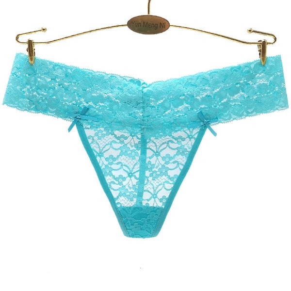 6 x Womens Sheer Nylon Briefs – Assorted Colours Underwear Undies 87420