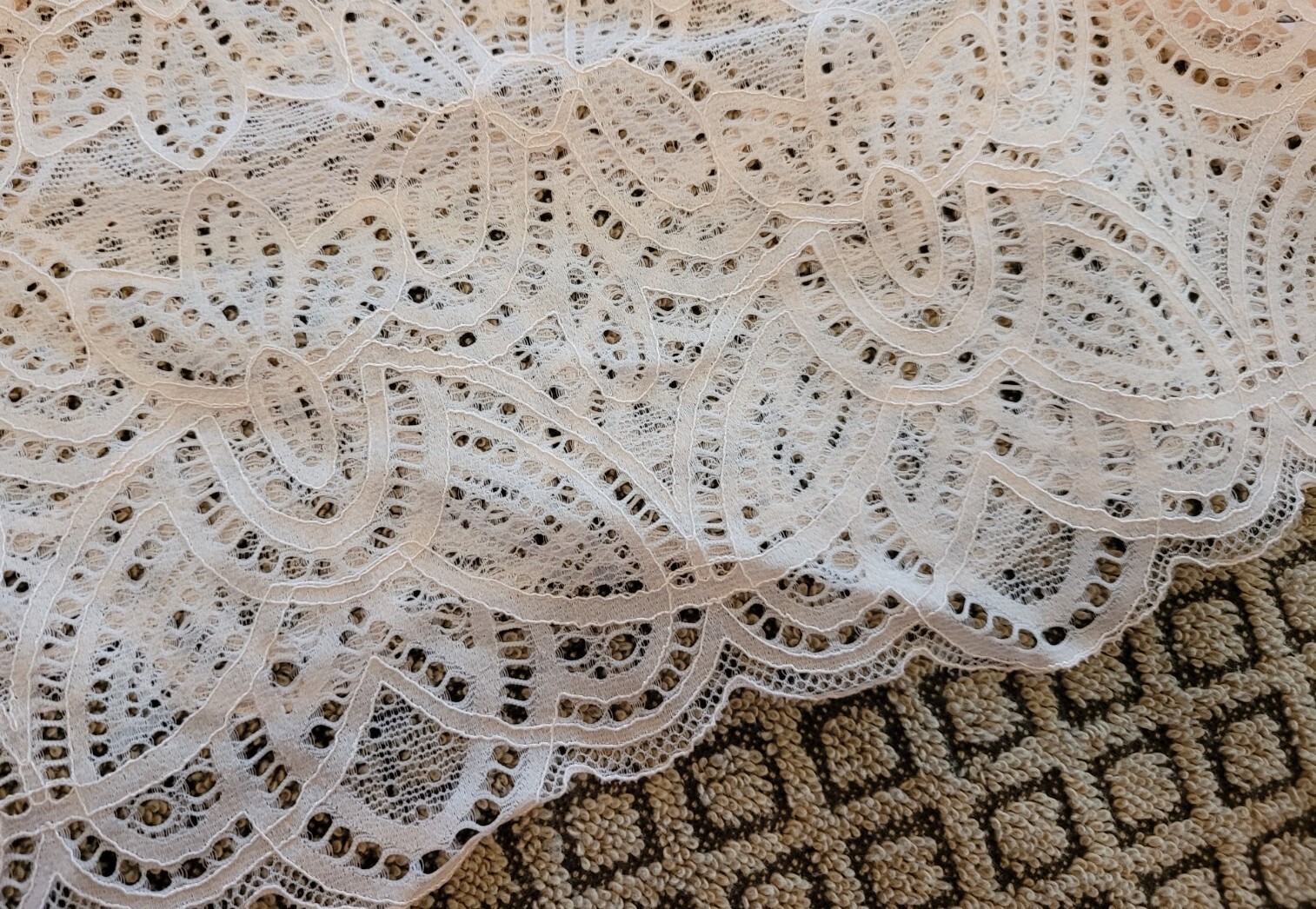 XL OLD NAVY SeXy Lace 1 Beige 1 Pink Oyster Cheeky Underwear Panties NWT