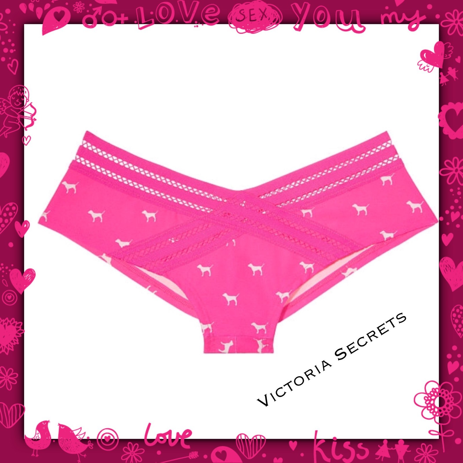 New Victoria’s Secret PINK Nation Dog Logo Striped Lace Cheeky Panty Sz M