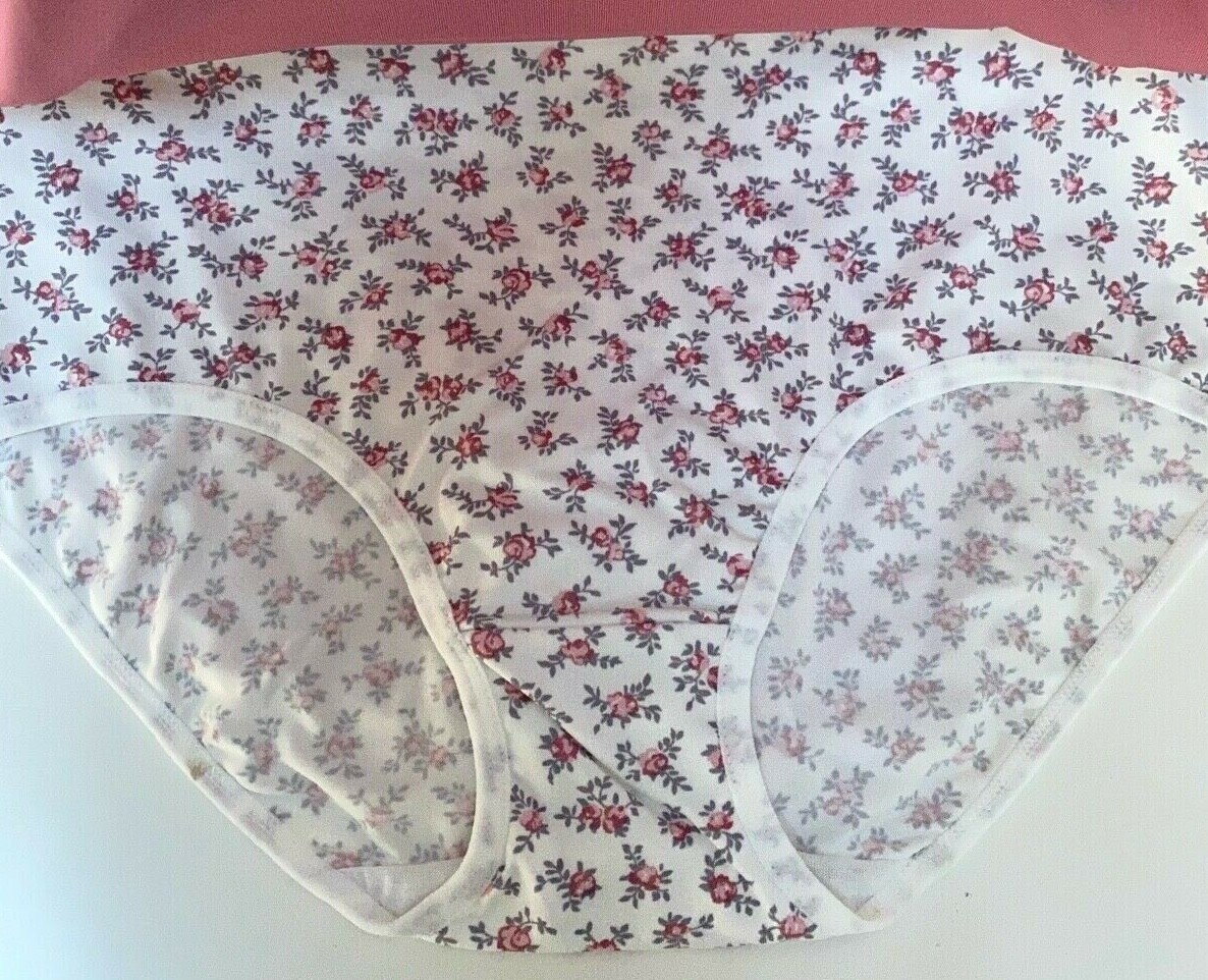 Laura Ashley Everyday Briefs Panties L 1X 2X 3X