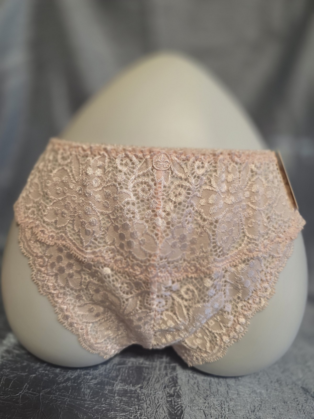 Vntg Florityna MEDIUM Stretch Lace Full Back Panty NWT Made In UAE Lt. Pink