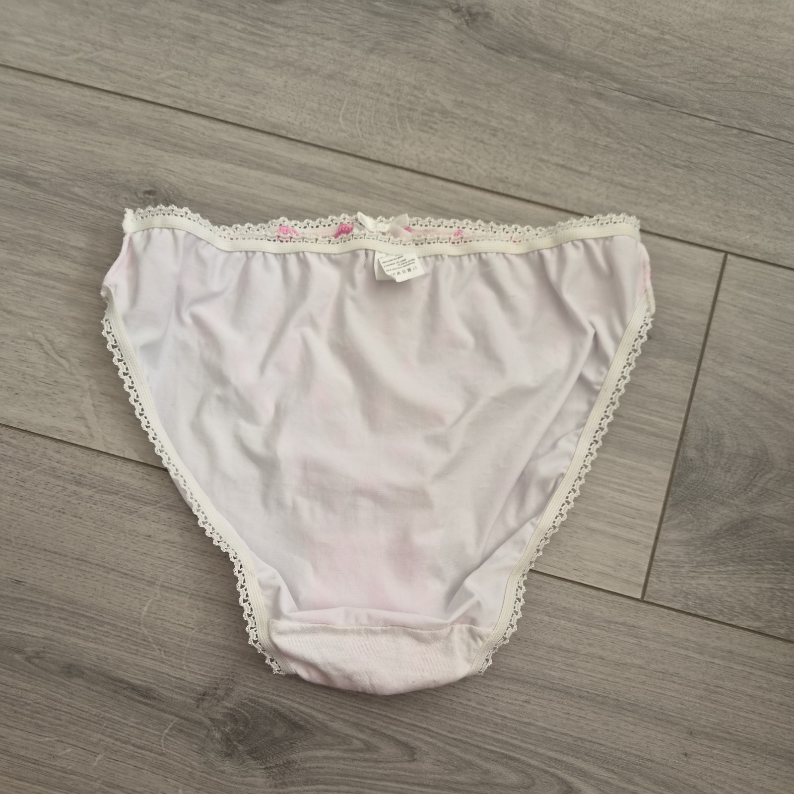 BNWOT Secrets White & Pink Extra Sheer Embroidered Front High Cut Briefs Sz 6-8