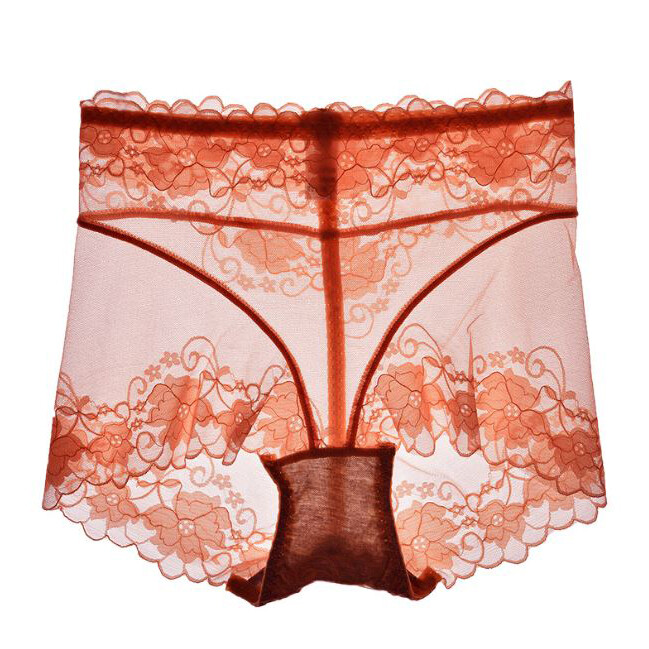 5 Pack Lot Sexy Womens Sheer Lace Panties Briefs See Through Underwear Lingeries