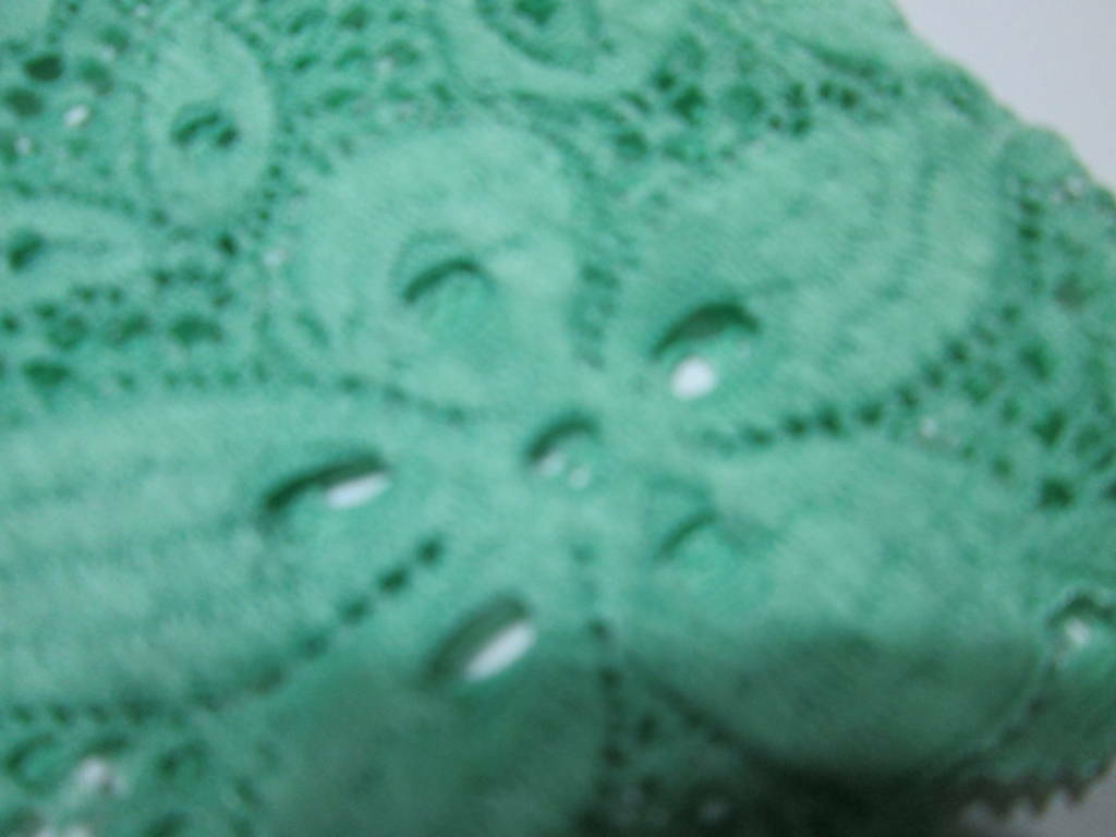NWT Angelina Womens Size S Cheeky Panties Green Lace Floral Underwear
