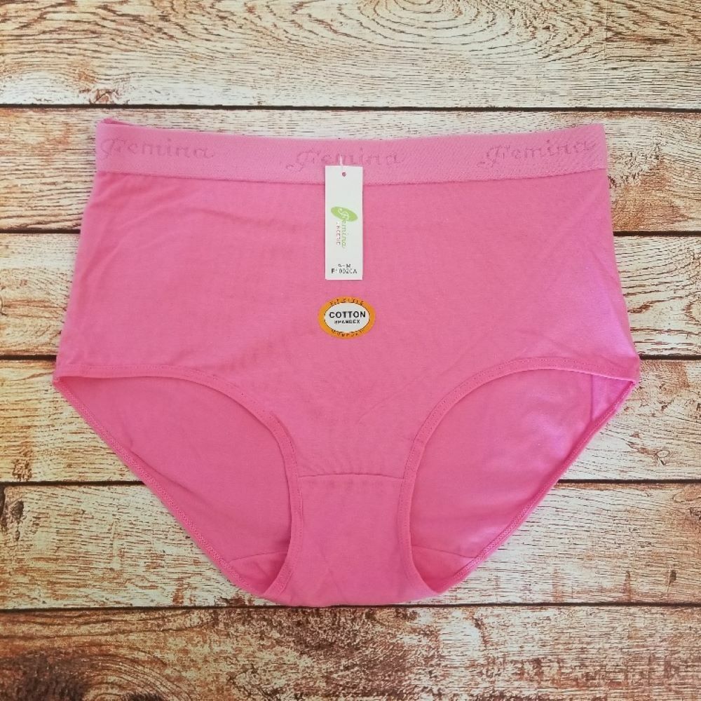 Women Soft Elastic Band Cotton High Waist Classic Brief Panties Underwear S-4XL