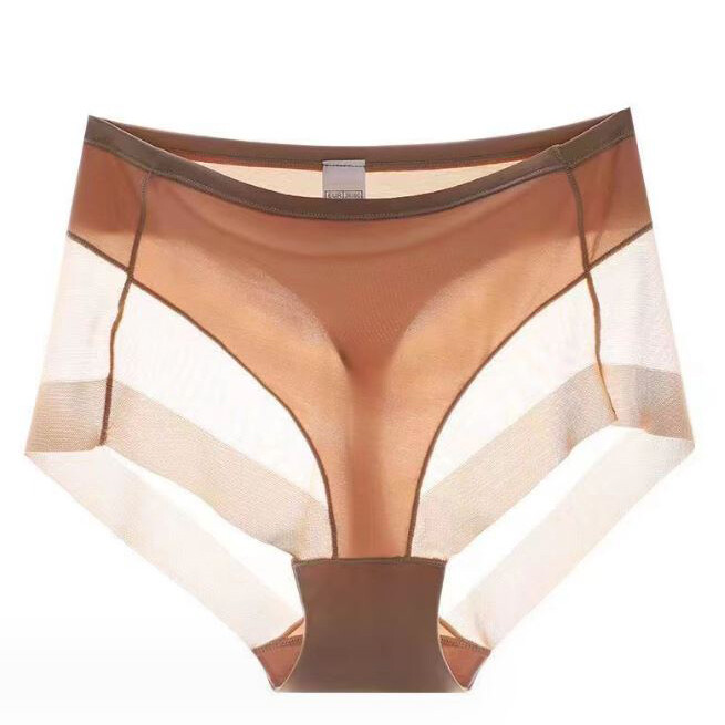 4 Packs Lot Womens Sexy Sheer See Through High Waist Panties Briefs Lingeries