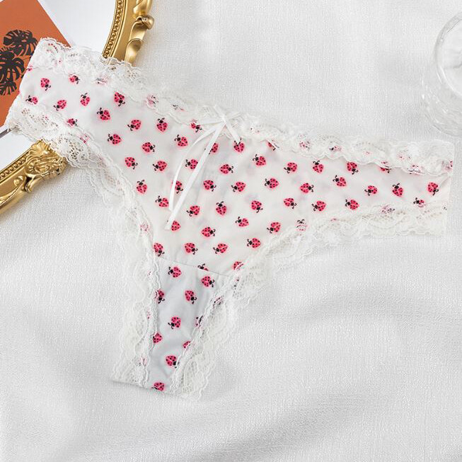 5 Pack Lot Sexy Women Lace Trim Panties Low Waist G String Thong Bikini Lingerie