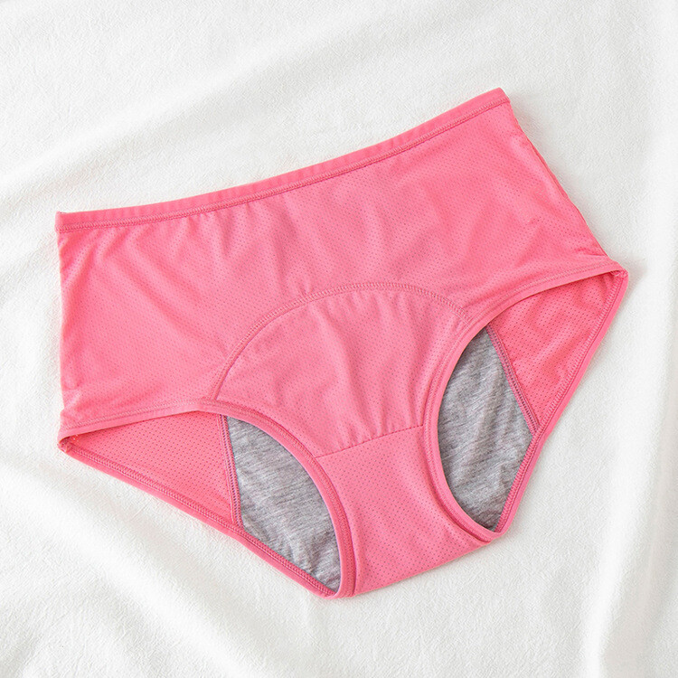 6 pcs Women Leakproof Underwear Incontinence Protective Discreet Underpants